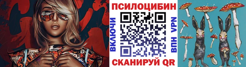 мега как войти Ржев Псилоцибиновые грибы MAGIC MUSHROOMS
